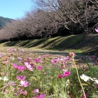 ⑥	土塁（外壕）から見た東門跡と大野城（山頂）