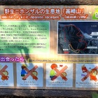 ⑦	注意書き！（猿に出会ったら）