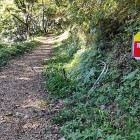 ⑤	セラピーロードは歩きやすい