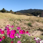 ⑨	西門の内壕から見た土塁と大野城（山頂）