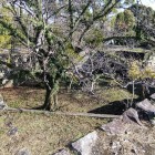 ⑤	大天守台と穴蔵