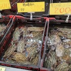 ⑩	直売所の竹崎カニ