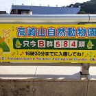 ⑧	只今B群584匹が下りています