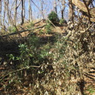 二つ目の堀切の先の急斜面