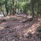 少し入った場所を振り返って