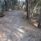 二郭堀切？を内から