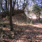 南の竹林側から土塁状を