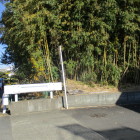 西にある藪、土塁跡？