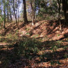 前の画像の左手方面、やや城址らしい