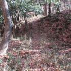 二番目の堀切を北から