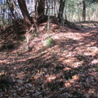 段差の少ない郭だが、土塁を思わせる場所も。