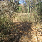 中央の狭い郭の縁が見え出す