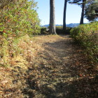 一見坂虎口らしく見える