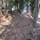 やや上り右寄りを通る。広い郭に出る