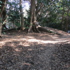 山頂部、土塁に見える上部