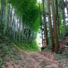 保育園西側の空堀