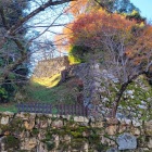 表門付近の登り石垣（下から）