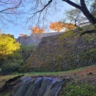 井戸曲輪の石垣