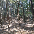 西へ向かって伸びる郭（推定）