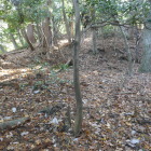 四段の扁平地の四段目