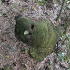 麓にある矢穴石