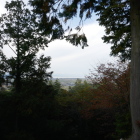 景観は今一つだ