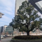 アレが無くなってる