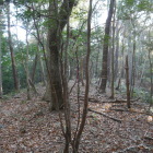 南（西）にっ下って行く扁平地