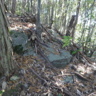 どうなのかね？