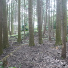 尾根に取りつく