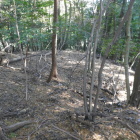 尾根上の扁平地