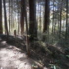 北曲輪西のスロープ