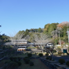 医王寺　伝勝頼本陣跡が見える