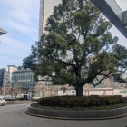 あれ　無くなってる