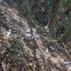 最近直登がキツい