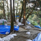 早く入りたいものだ