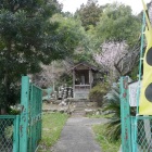 長宗我部盛親陣