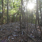 最高所　推定櫓台