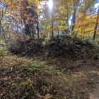 畝状の堀　土塁