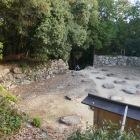 ジャングル化しているが大丈夫だろうか