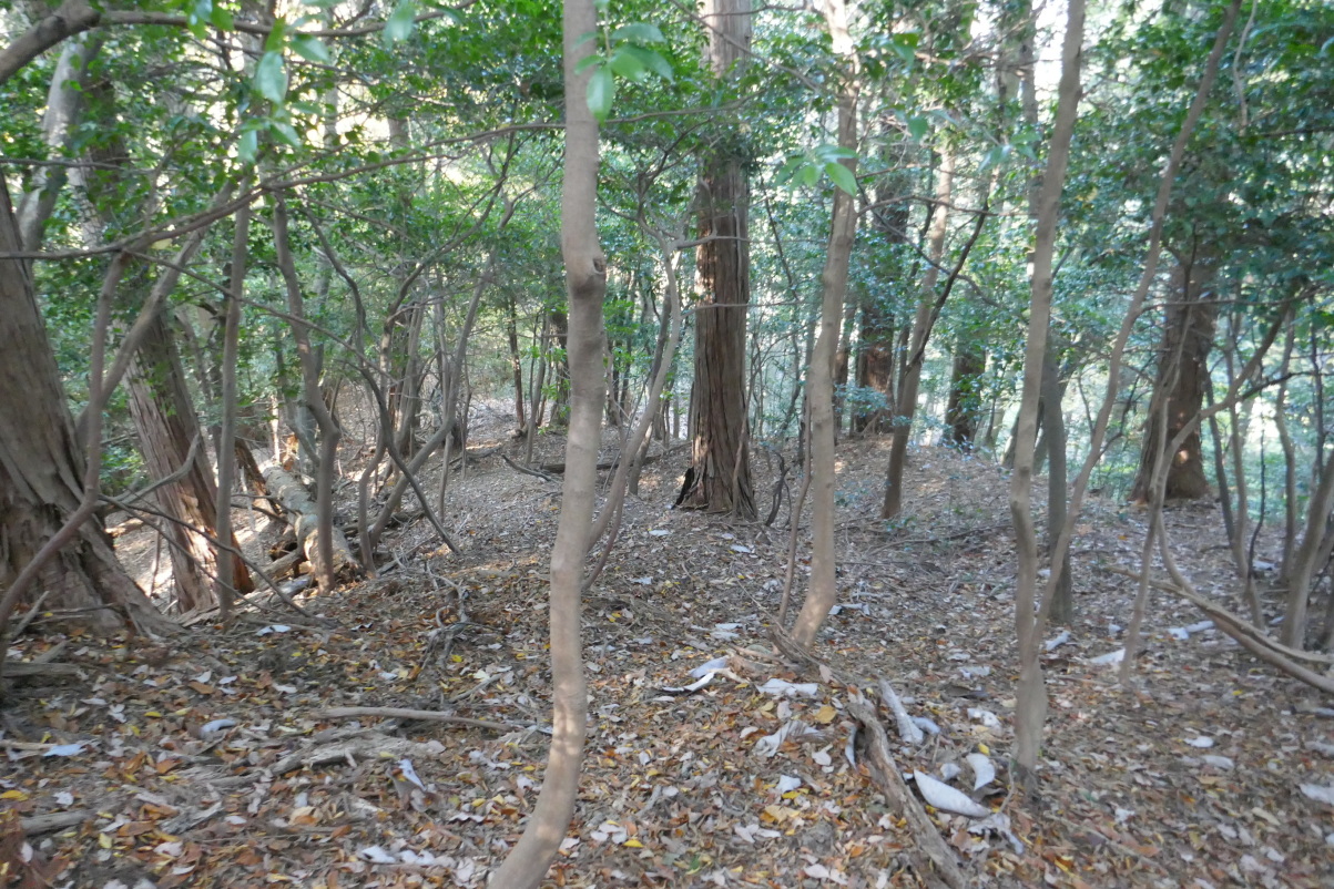北東の扁平地から続く道