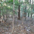 北東の扁平地から続く道