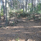 北西の尾根の扁平地