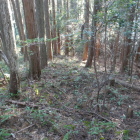 南（東）に続く扁平地