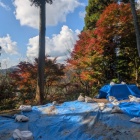 本丸は発掘調査中