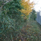 こりゃどうしようもない