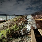 良く写ってるなあ