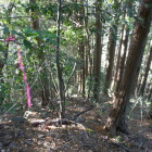 尾根の先端　急だ