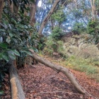 柵の向こうに岩塊が見える