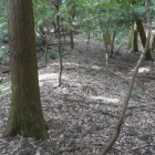 土橋のような形状がうっすら残る